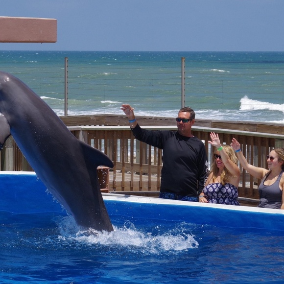 Meet your Posher, Michelle - Picture 2 of 16